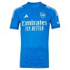 Original Fußballtrikot Arsenal Auswärtstrikot Torwart 2023-24 Für Herren